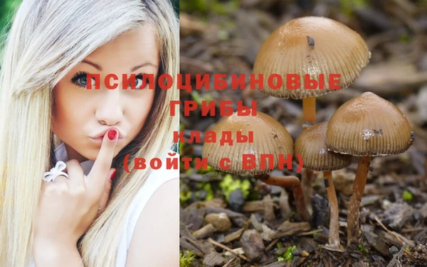 гашишное масло Белокуриха
