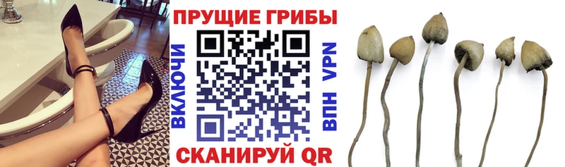 Галлюциногенные грибы ЛСД hydra как зайти Кочубеевское